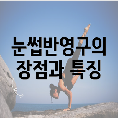 눈썹반영구의 장점과 특징