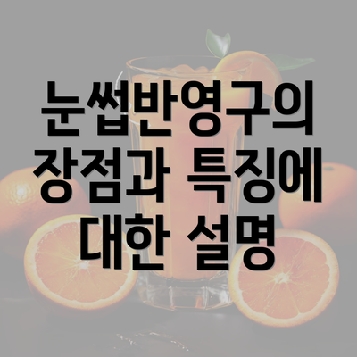 눈썹반영구의 장점과 특징에 대한 설명