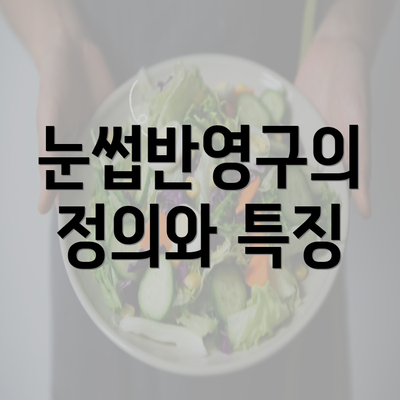 눈썹반영구의 정의와 특징