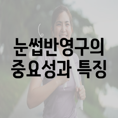 눈썹반영구의 중요성과 특징