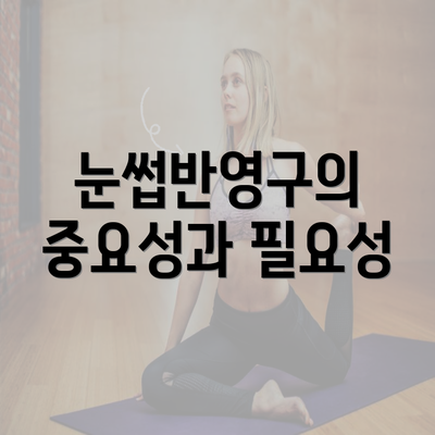 눈썹반영구의 중요성과 필요성