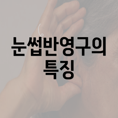 눈썹반영구의 특징