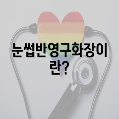 눈썹반영구화장이란?