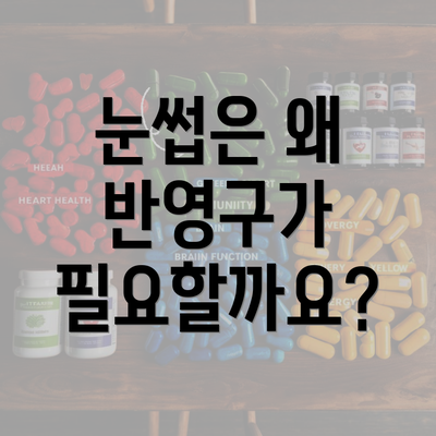 눈썹은 왜 반영구가 필요할까요?