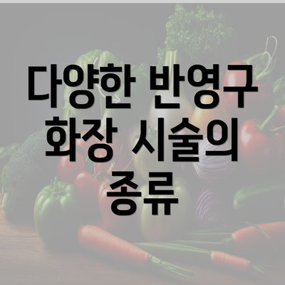 다양한 반영구 화장 시술의 종류