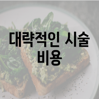 대략적인 시술 비용