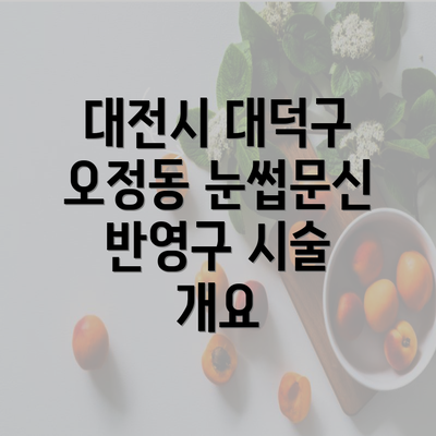 대전시 대덕구 오정동 눈썹문신 반영구 시술 개요