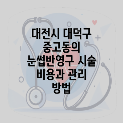 대전시 대덕구 중고동의 눈썹반영구 시술 비용과 관리 방법