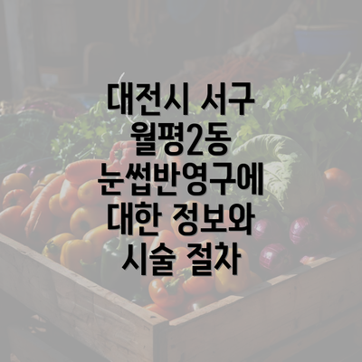 대전시 서구 월평2동 눈썹반영구에 대한 정보와 시술 절차