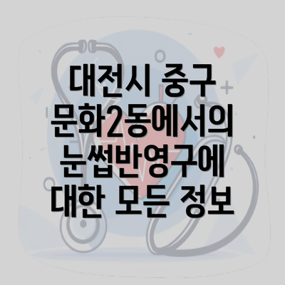 대전시 중구 문화2동에서의 눈썹반영구에 대한 모든 정보