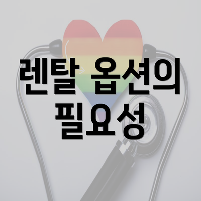 렌탈 옵션의 필요성