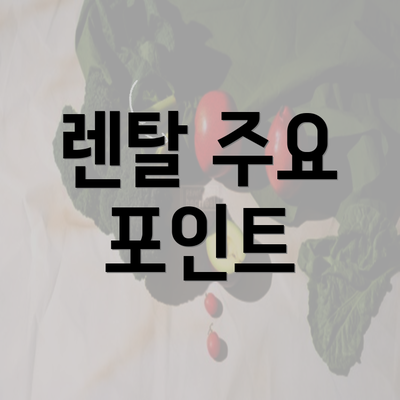 렌탈 주요 포인트