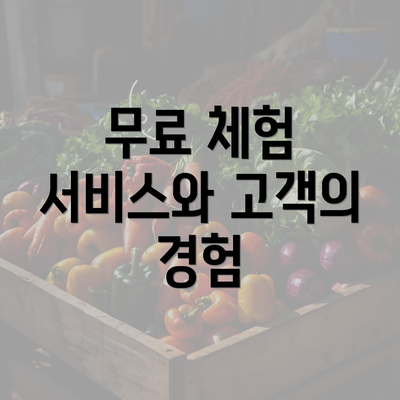 무료 체험 서비스와 고객의 경험