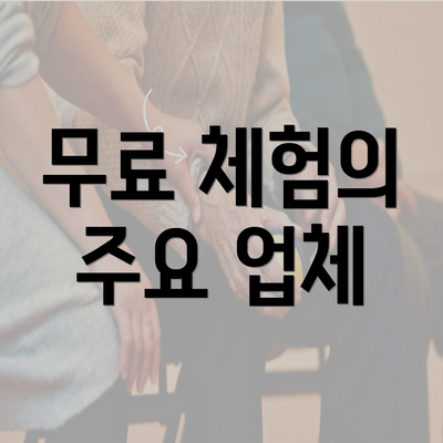 무료 체험의 주요 업체