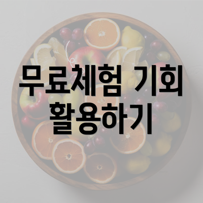 무료체험 기회 활용하기