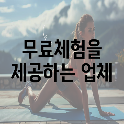 무료체험을 제공하는 업체