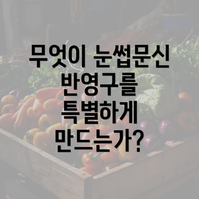 무엇이 눈썹문신 반영구를 특별하게 만드는가?