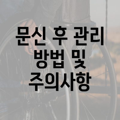 문신 후 관리 방법 및 주의사항