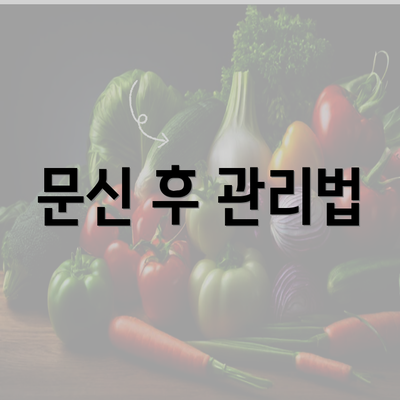 문신 후 관리법