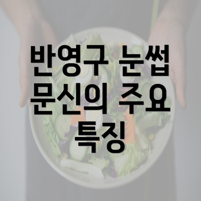 반영구 눈썹 문신의 주요 특징