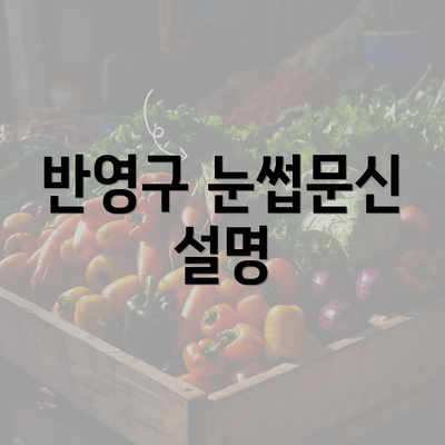 반영구 눈썹문신 설명