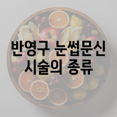 반영구 눈썹문신 시술의 종류