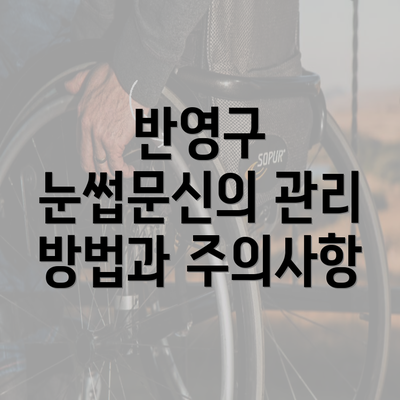 반영구 눈썹문신의 관리 방법과 주의사항