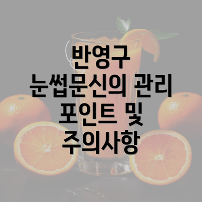 반영구 눈썹문신의 관리 포인트 및 주의사항