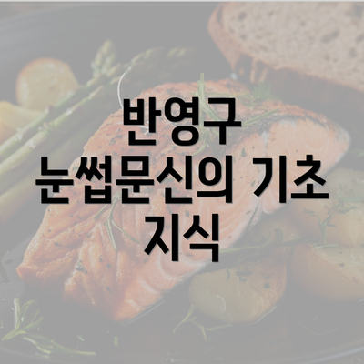 반영구 눈썹문신의 기초 지식