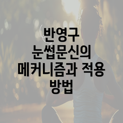 반영구 눈썹문신의 메커니즘과 적용 방법