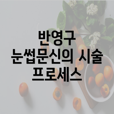 반영구 눈썹문신의 시술 프로세스