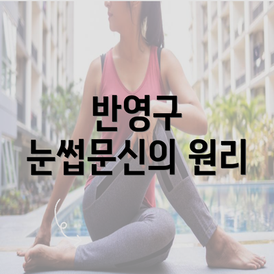 반영구 눈썹문신의 원리