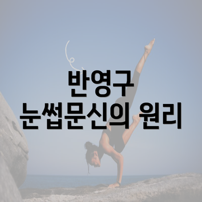 반영구 눈썹문신의 원리