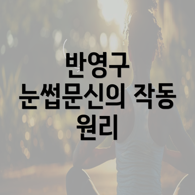 반영구 눈썹문신의 작동 원리