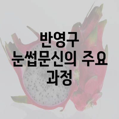 반영구 눈썹문신의 주요 과정