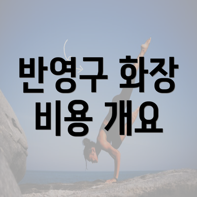 반영구 화장 비용 개요