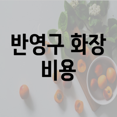 반영구 화장 비용