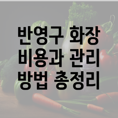 반영구 화장 비용과 관리 방법 총정리