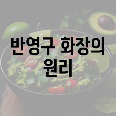 반영구 화장의 원리