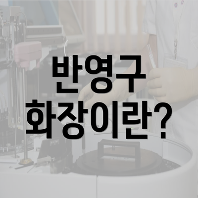 반영구 화장이란?