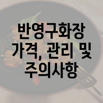 반영구화장 가격, 관리 및 주의사항