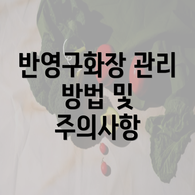 반영구화장 관리 방법 및 주의사항