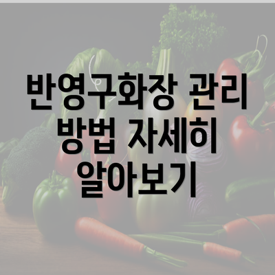 반영구화장 관리 방법 자세히 알아보기