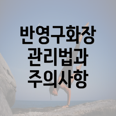 반영구화장 관리법과 주의사항