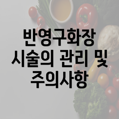 반영구화장 시술의 관리 및 주의사항