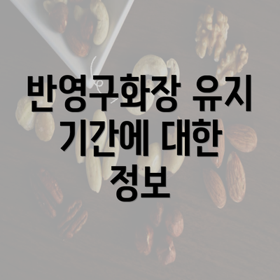 반영구화장 유지 기간에 대한 정보