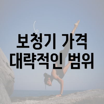 보청기 가격 대략적인 범위