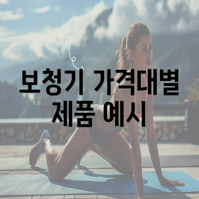 보청기 가격대별 제품 예시