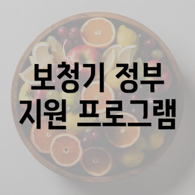 보청기 정부 지원 프로그램