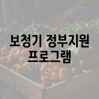 보청기 정부지원 프로그램